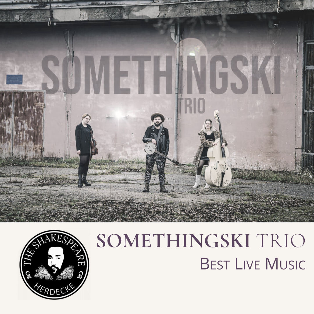 SOMETHINGSKI TRIO - Best Live Music