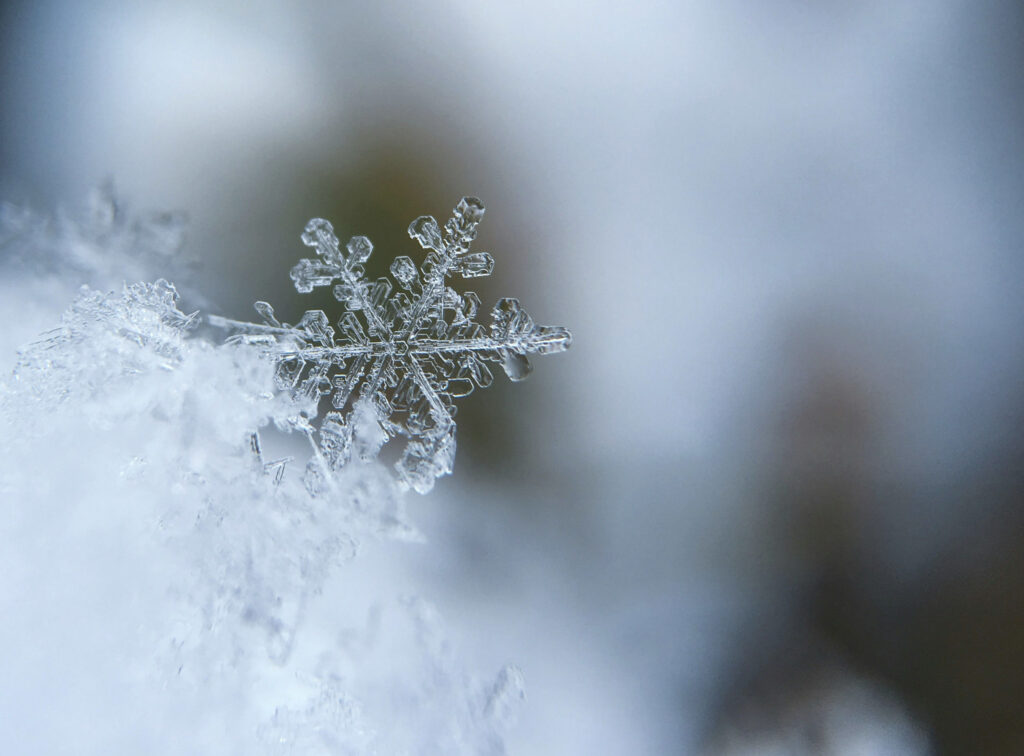 The Shakespeare · Pub · Herdecke. An English Pub with Great Beer, Good Food and Live Music. Cheers!