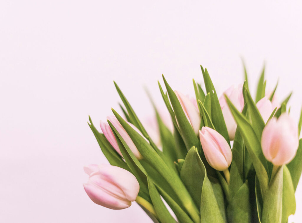 "The uncertain glory of an April day it comes. It always comes."*
From Two Gentlemen of Verona